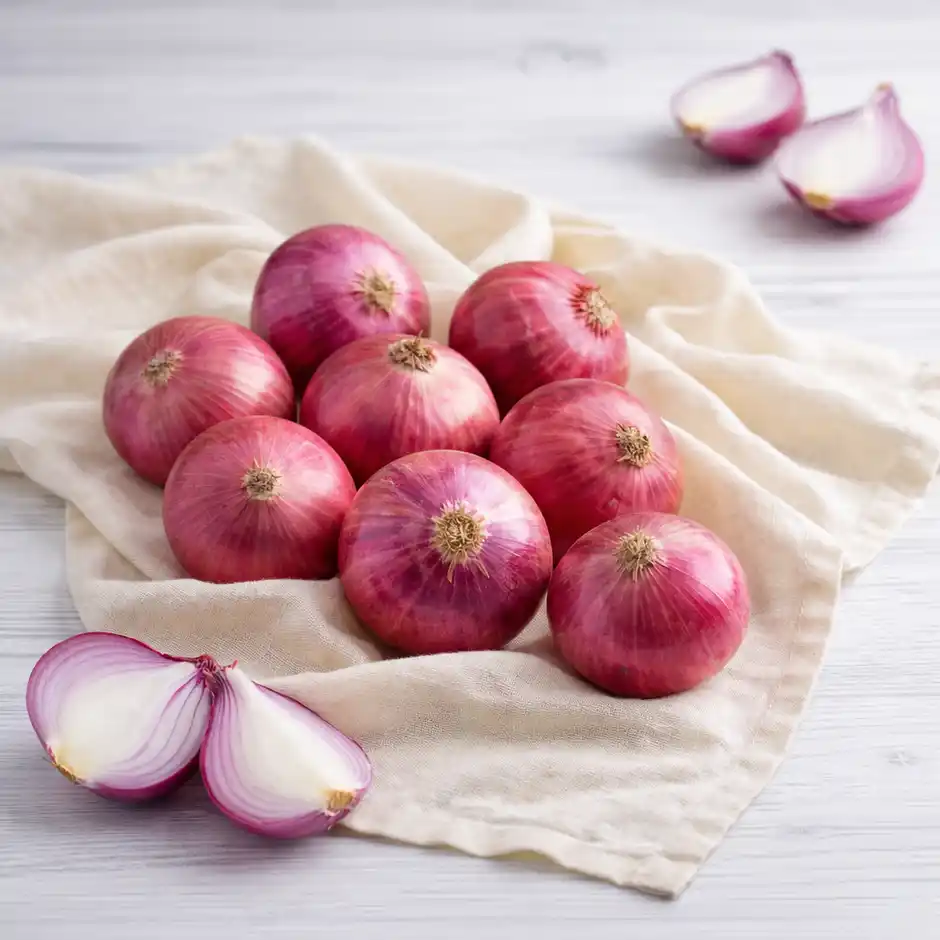 Fresh Onion